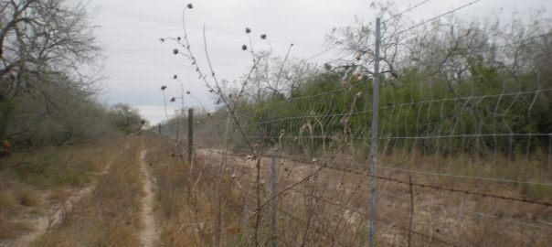 pathway along fenceline