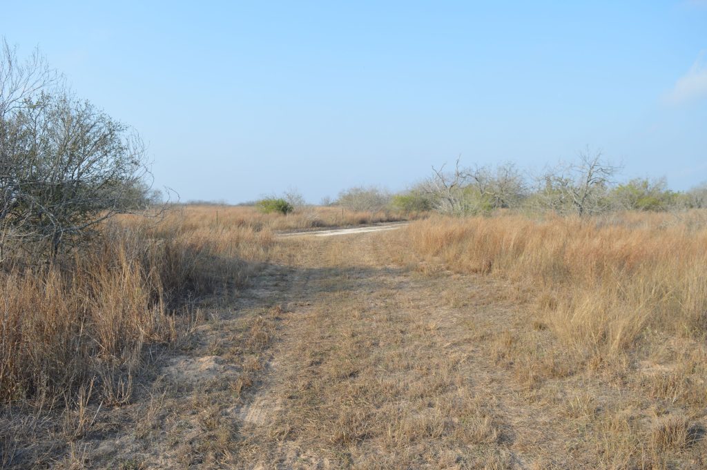 Dirt road on a ranch