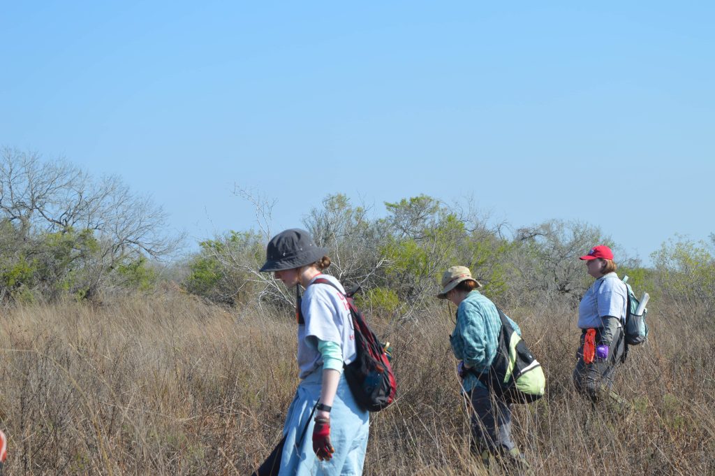 Some of the Beyond Borders 2026 team conducting a line search.