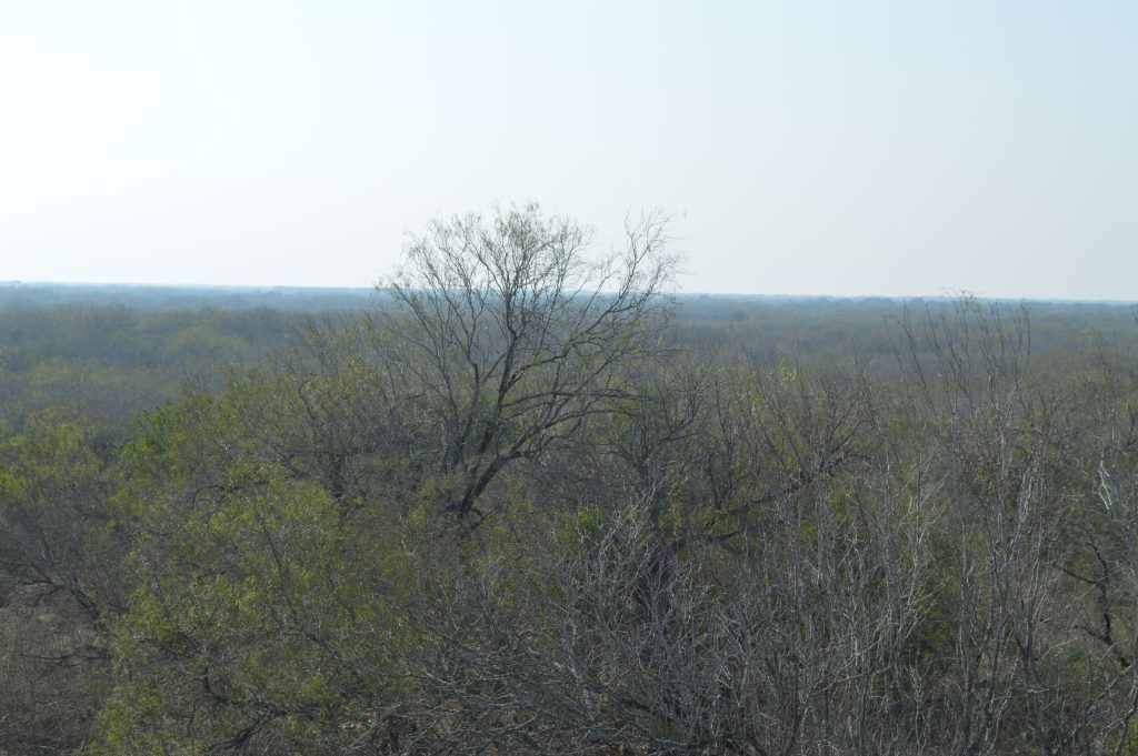 View from a lookout on one of the ranches.