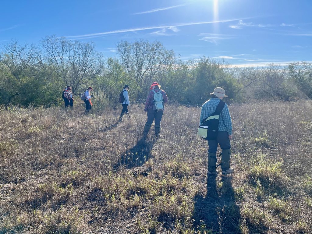 Line search in the field