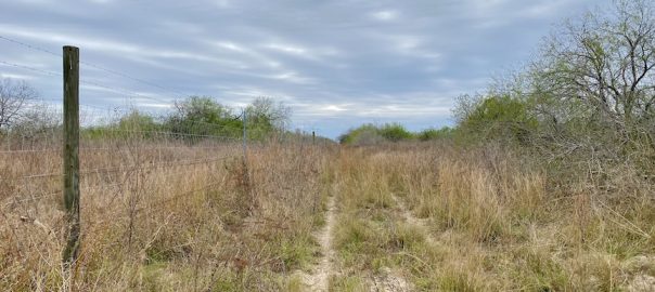 View of a two track road next to a wire fence marking the edge of a ranch.