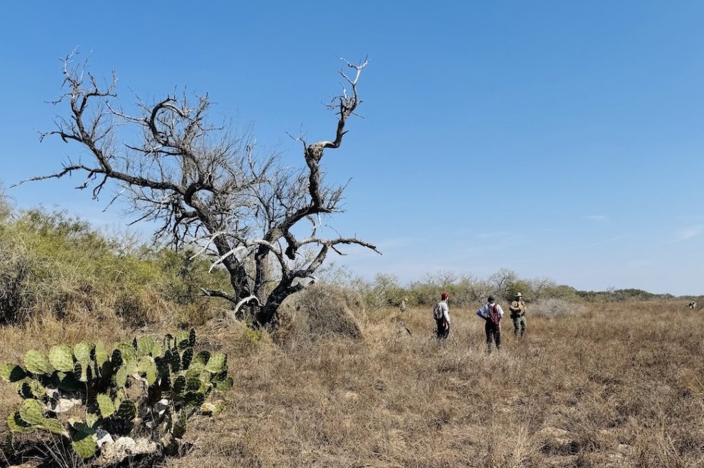 Rural Texas landscape
