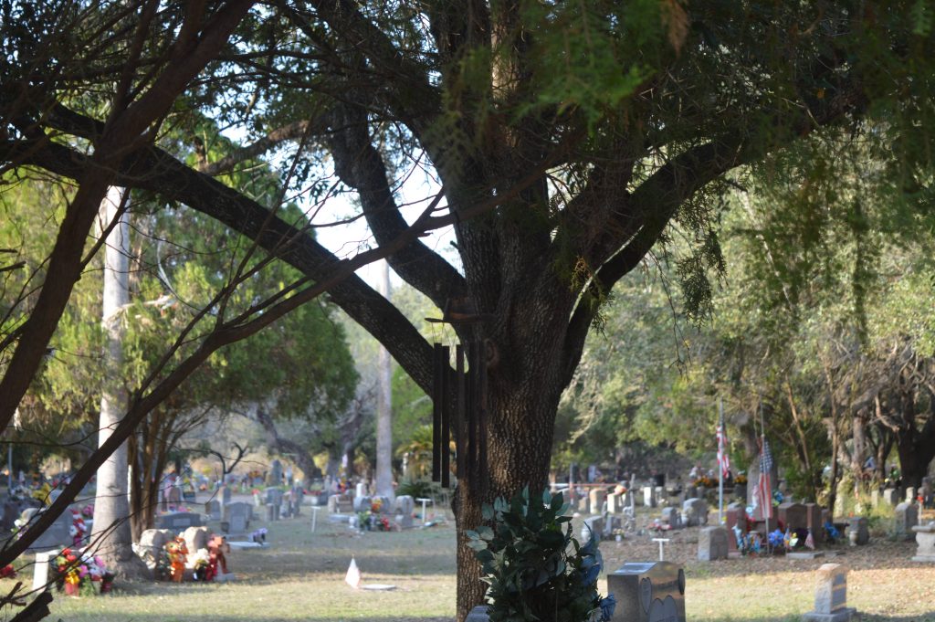 Wind chimes hanging from a tree at the Sacred Heart Burial Park with adorned graves in the background