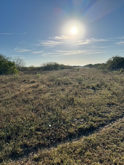 View of Remote Ranchlands in Brooks County