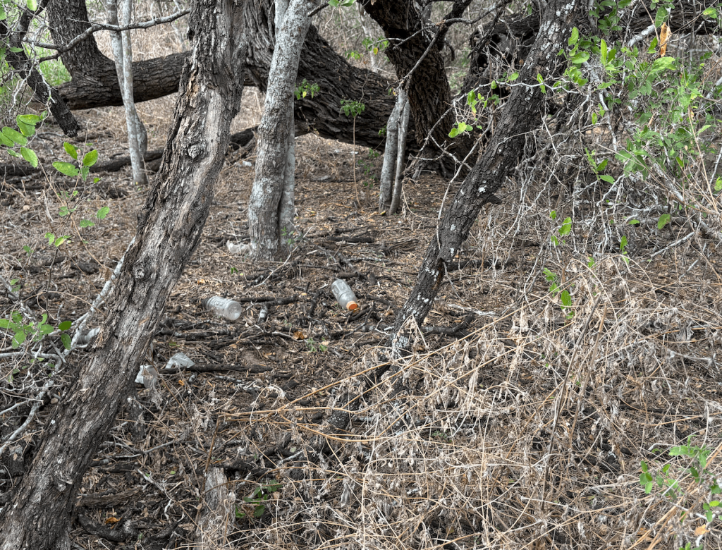 Collection of empty bottles and food cans under the trees