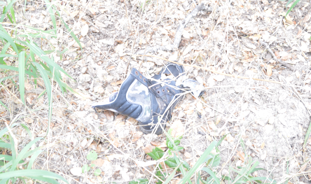 A shoe found under a tree in the field