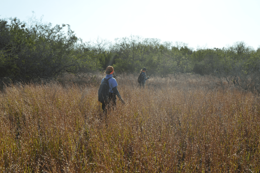 Two members of the team searching the surrounding area.