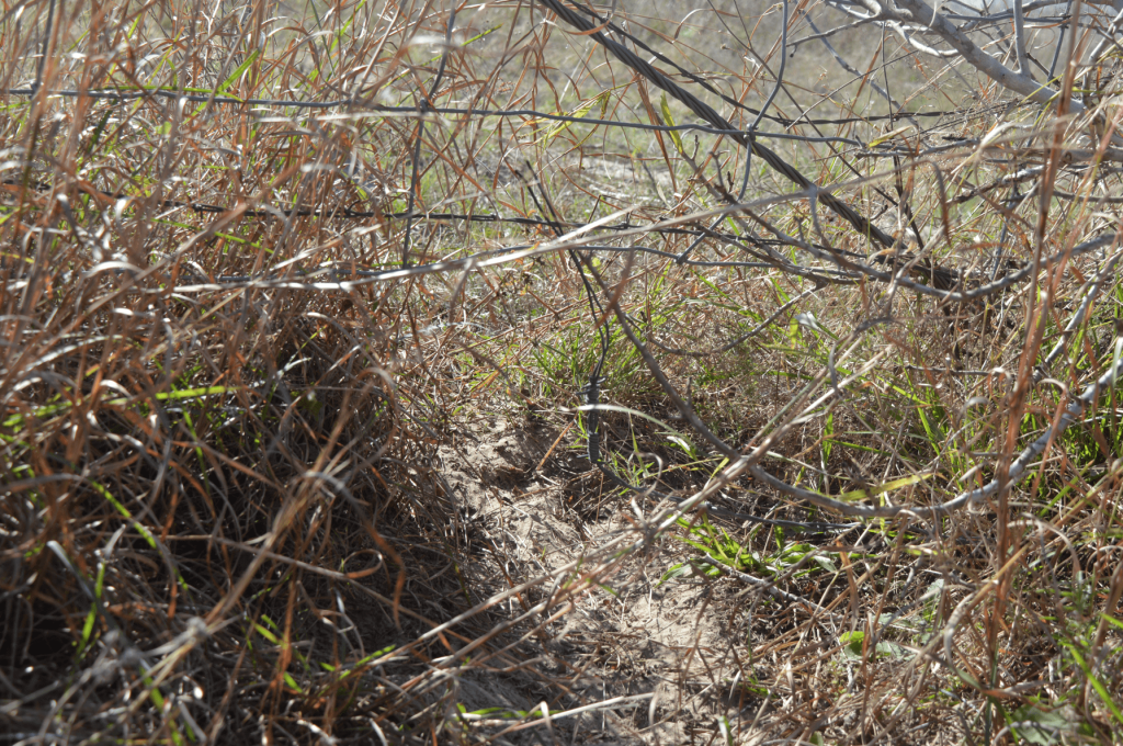 Gap under the barbed wire fence separating ranches.