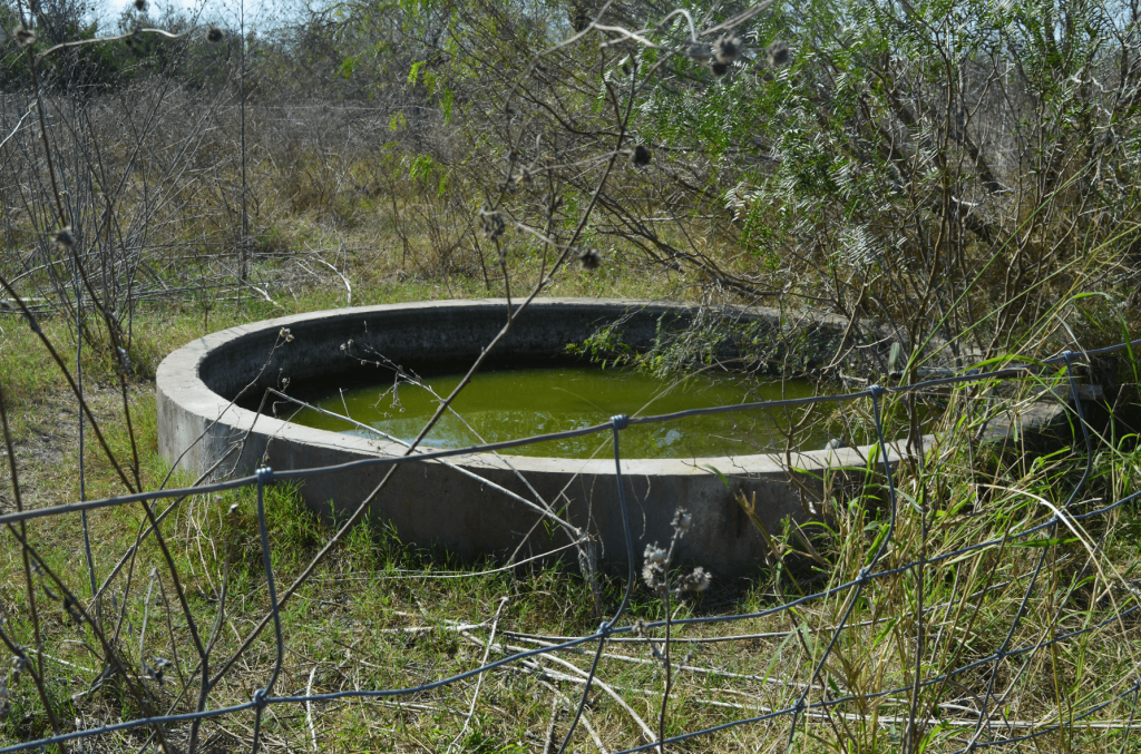 Cattle cistern with unclean water sometimes used by migrants.