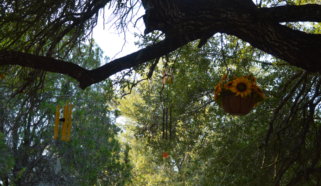 Wind chimes in Sacred Heart Cemetery making music every time the wind blew.