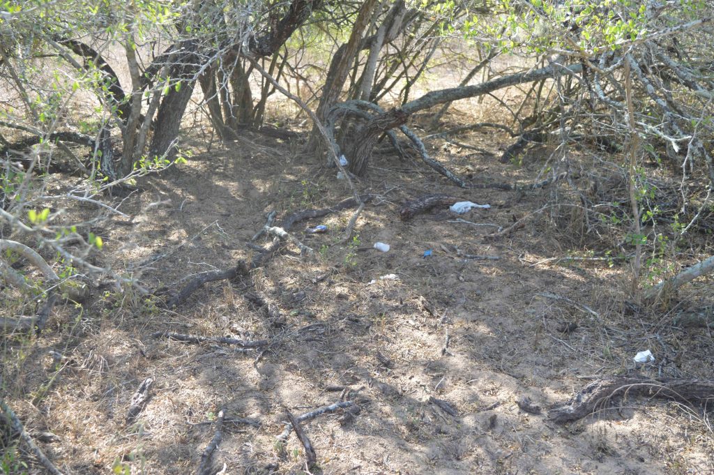 Motte that was used as a layup with discarded items left behind