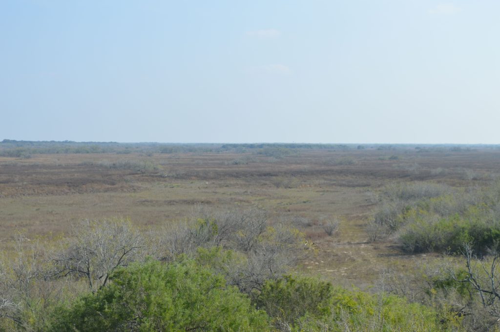 A view of the ranch from an observation deck, showing the ranchland traveling off into the horizon